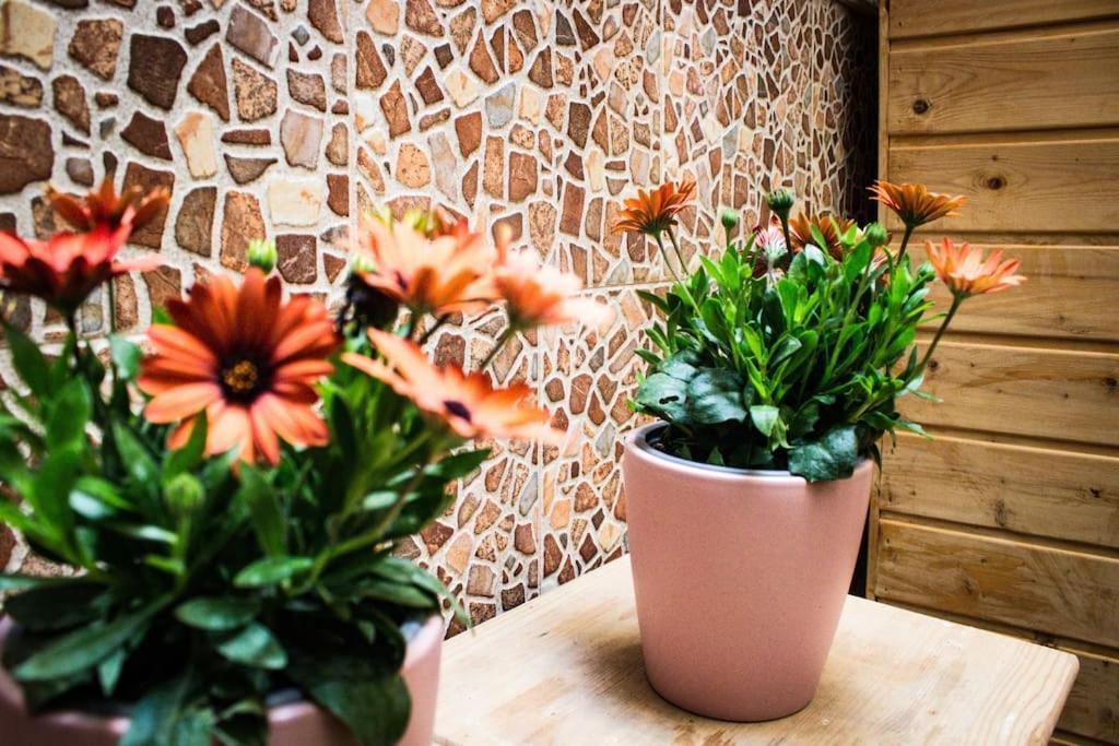 Apartamento Venus Apartment Ronda Bagian luar foto