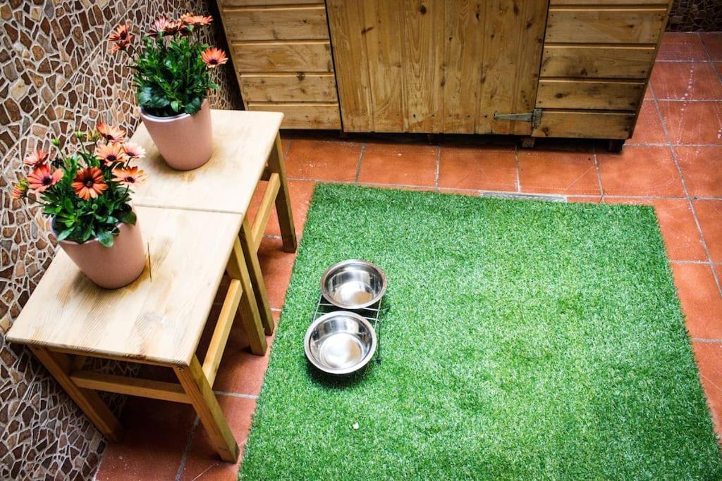 Apartamento Venus Apartment Ronda Bagian luar foto